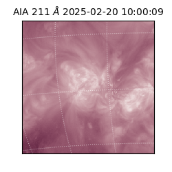 saia - 2025-02-20T10:00:09.629000