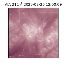 saia - 2025-02-20T12:00:09.625000