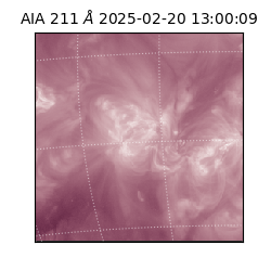 saia - 2025-02-20T13:00:09.626000