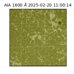 saia - 2025-02-20T11:00:14.125000