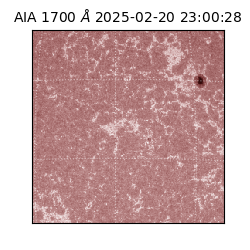 saia - 2025-02-20T23:00:28.717000