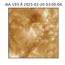 saia - 2025-02-20T03:00:04.843000