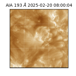 saia - 2025-02-20T08:00:04.843000