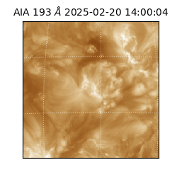 saia - 2025-02-20T14:00:04.843000