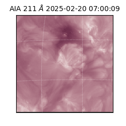 saia - 2025-02-20T07:00:09.622000