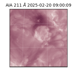 saia - 2025-02-20T09:00:09.630000