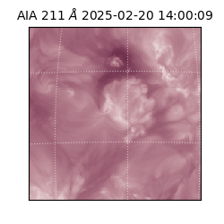 saia - 2025-02-20T14:00:09.623000