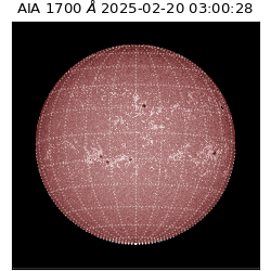 saia - 2025-02-20T03:00:28.717000