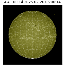 saia - 2025-02-20T06:00:14.126000