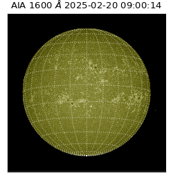saia - 2025-02-20T09:00:14.125000
