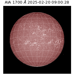 saia - 2025-02-20T09:00:28.717000