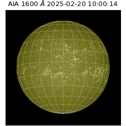 saia - 2025-02-20T10:00:14.126000