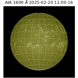 saia - 2025-02-20T11:00:14.125000