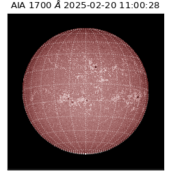 saia - 2025-02-20T11:00:28.717000