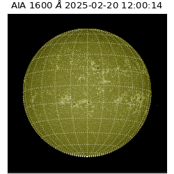 saia - 2025-02-20T12:00:14.126000