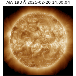 saia - 2025-02-20T14:00:04.843000
