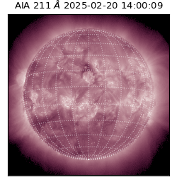 saia - 2025-02-20T14:00:09.623000