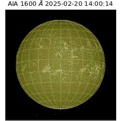 saia - 2025-02-20T14:00:14.125000