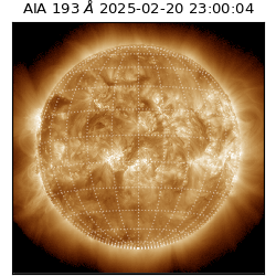 saia - 2025-02-20T23:00:04.843000