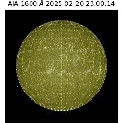 saia - 2025-02-20T23:00:14.126000