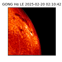 gong - 2025-02-20T02:10:42
