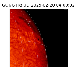 gong - 2025-02-20T04:00:02