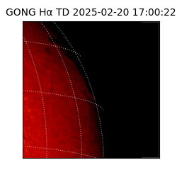 gong - 2025-02-20T17:00:22
