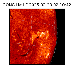 gong - 2025-02-20T02:10:42