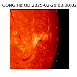 gong - 2025-02-20T03:00:02