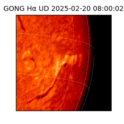 gong - 2025-02-20T08:00:02
