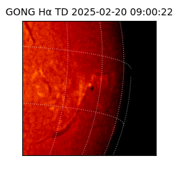 gong - 2025-02-20T09:00:22