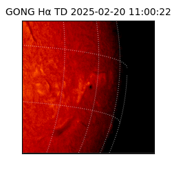 gong - 2025-02-20T11:00:22