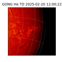 gong - 2025-02-20T12:00:22