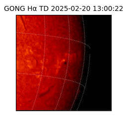 gong - 2025-02-20T13:00:22