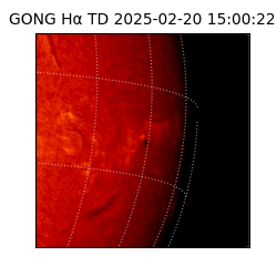 gong - 2025-02-20T15:00:22
