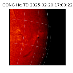 gong - 2025-02-20T17:00:22