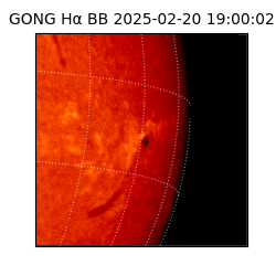 gong - 2025-02-20T19:00:02