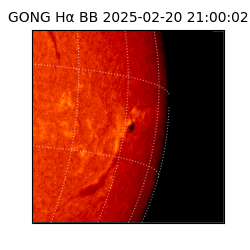 gong - 2025-02-20T21:00:02