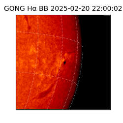 gong - 2025-02-20T22:00:02