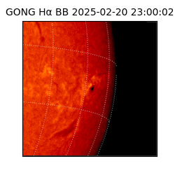 gong - 2025-02-20T23:00:02