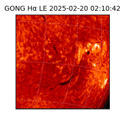 gong - 2025-02-20T02:10:42