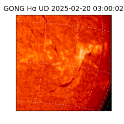 gong - 2025-02-20T03:00:02