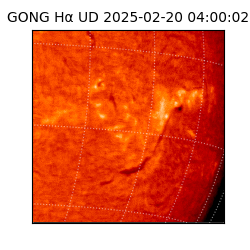 gong - 2025-02-20T04:00:02