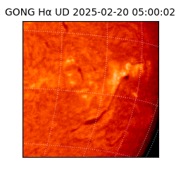 gong - 2025-02-20T05:00:02