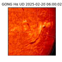 gong - 2025-02-20T06:00:02