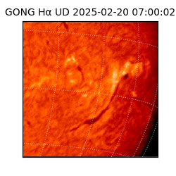 gong - 2025-02-20T07:00:02