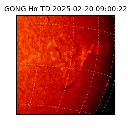gong - 2025-02-20T09:00:22