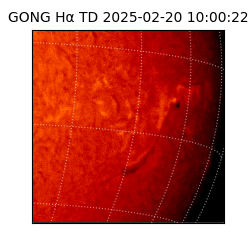 gong - 2025-02-20T10:00:22