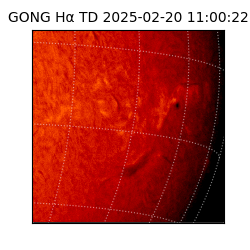 gong - 2025-02-20T11:00:22