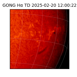 gong - 2025-02-20T12:00:22